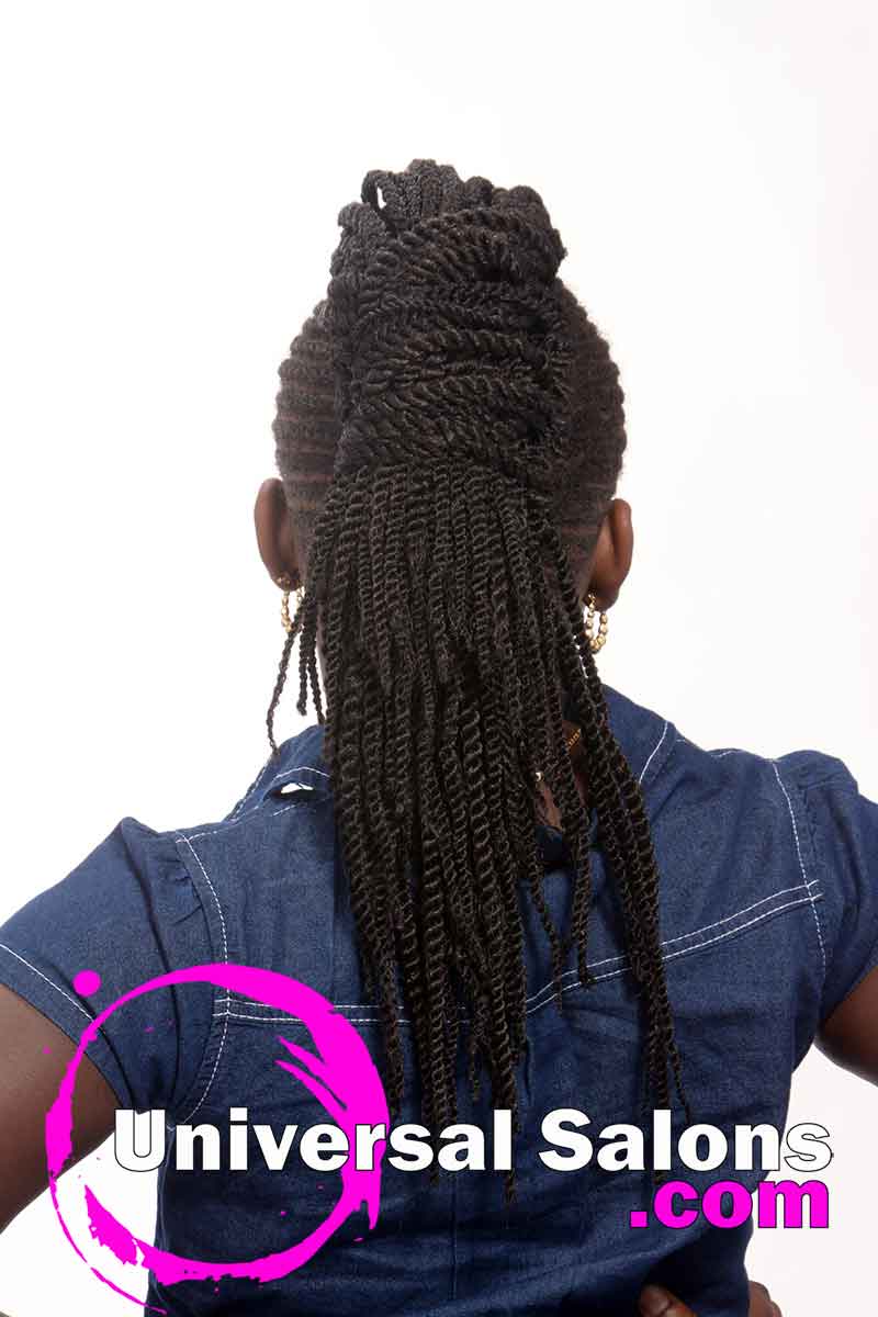 Kid's Braided Black Hairstyle from Mel Wright (2)