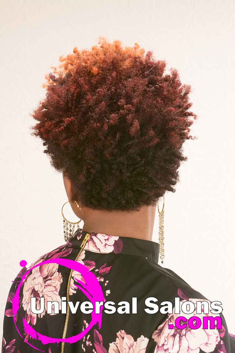Natural Hairstyle with Curls and Hair Color from D Hair Weaver (3)