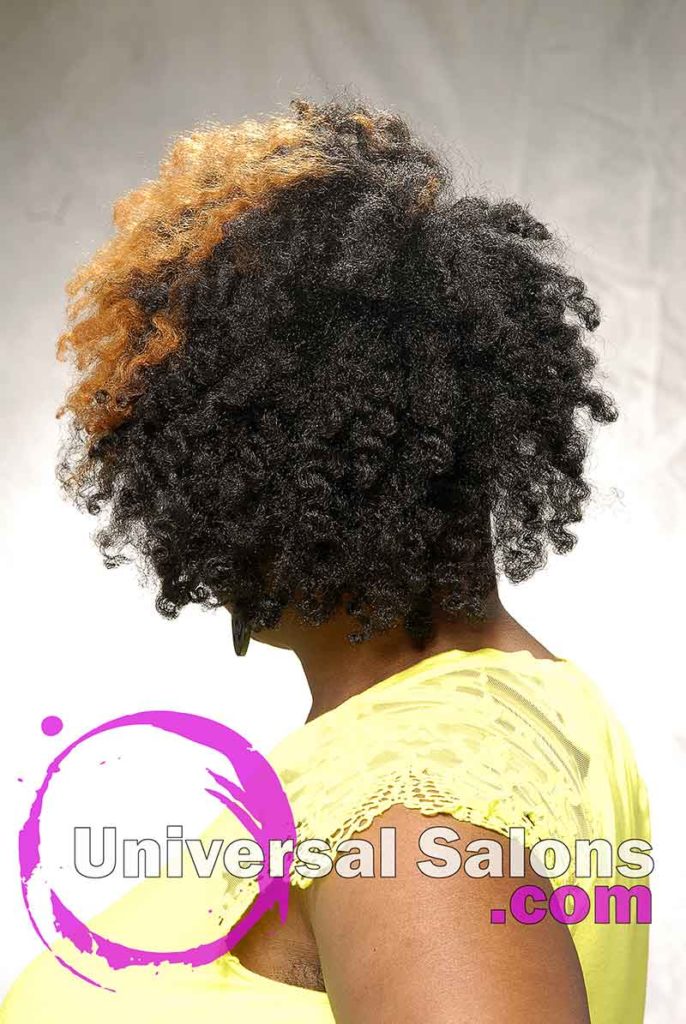 Naturally Fierce Curly Hairstyle from Lanika Saunders